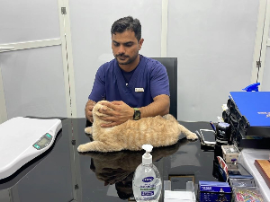 Al Tareeq Vet Clinic Doctor Pic1 300X225