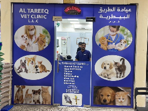 Al Tareeq Vet Clinic Pic2 300X225