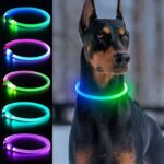 ILLUMISEEN Dog Collars
